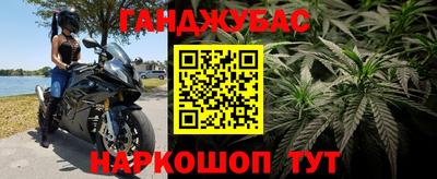 хмурый Шелехов